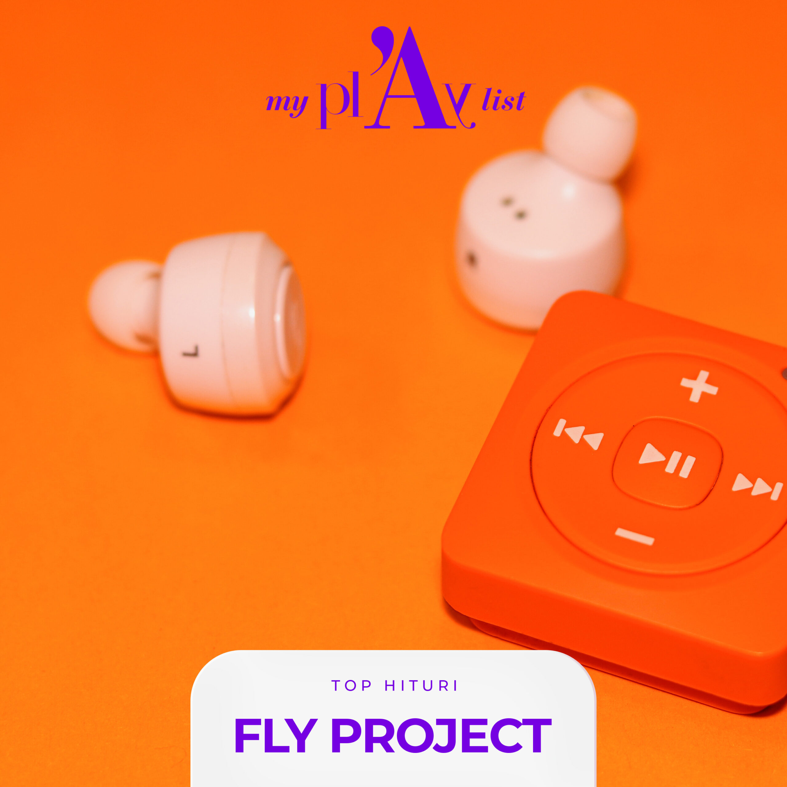 Hituri Fly Project