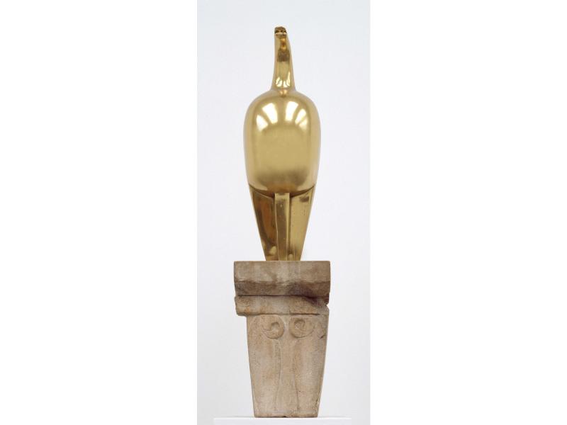 brancusi expozitie timisoara