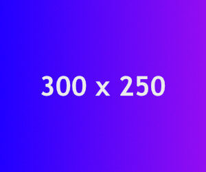 300x250